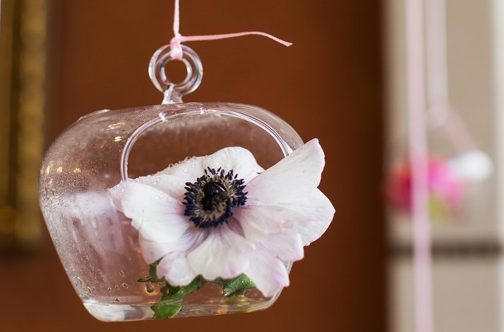 Small hanging terrarium