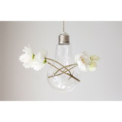 Various hanging terrariums