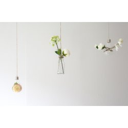 Various hanging terrariums