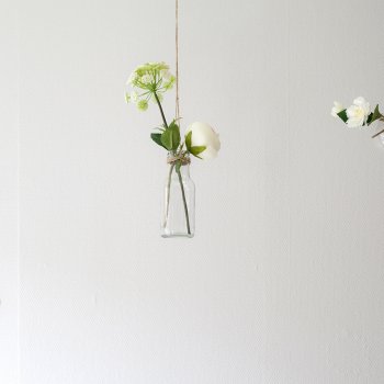 Various hanging terrariums