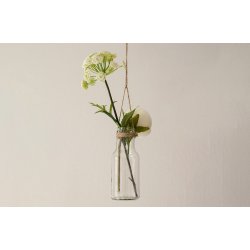 Various hanging terrariums