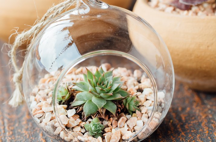 Hngende terrarium